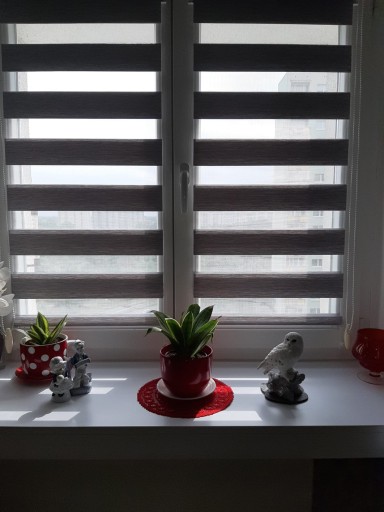 Roleta Dzień Noc nowoczesne kolory wymiar 32x140