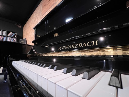 Пианино SCHWARZBACH SB-125 PE