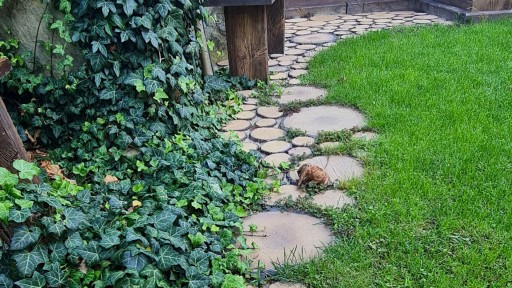 Plastry Drewniane - Betonowe Drewno - Ozdobne, na ścieżkę, do ogrodu