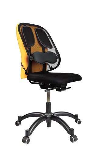 Поясничная опора Fellowes Professional с сеткой Professional Series