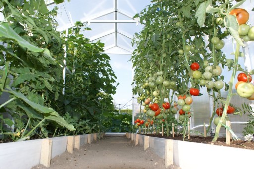 ТЕПЛИЦА ИЗ ПОЛИКАРБОНАТА 8,5 м 210x405 ПРОЧНАЯ ПОЛЬСКАЯ СТАЛЬ ПВХ