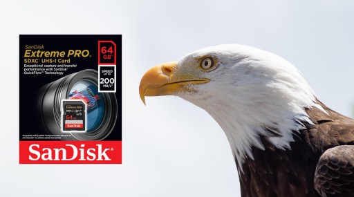 Карта памяти SANDISK Extreme PRO SDXC 64 ГБ