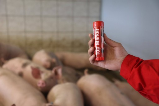 Мелок TopMarker для маркировки животных, 60 г