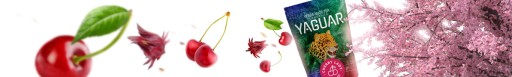 Yerba Mate Yaguar Cherry Lady 0,5кг вишня 500г