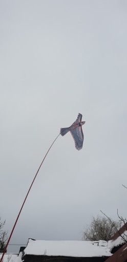 Профессиональный отпугиватель птиц KITE falcon EAGLE + 7M MAST + SWIRL