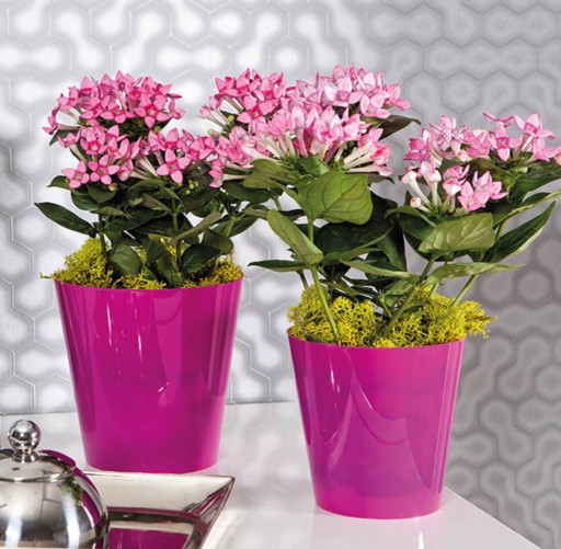 Крышка для цветочного горшка SIMPLE круглая PURPLE, диаметр 15 см