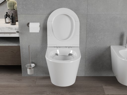 СИДЕНЬЕ ДЛЯ УНИТАЗА MEXEN RICO БЕЗОБОДКОЕ DUROPLAST SLIM