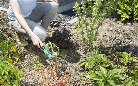 GARDENA Нож для цветов 8935-20