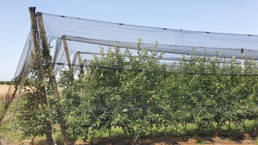 GeoAura 55 противоградовая сетка, суд, комиссия