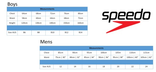 Мужские пляжные шорты Speedo M, темно-синие X4A81