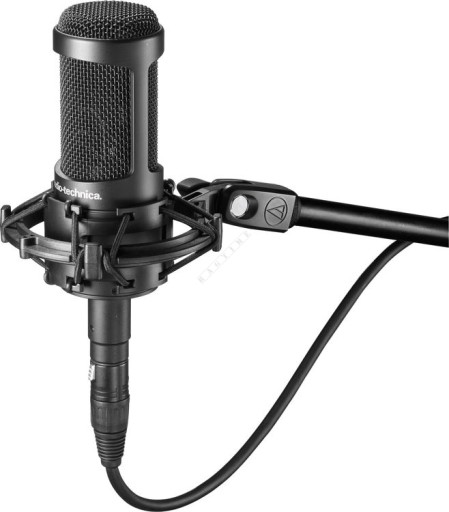 Audio Technica AT 2035 Студийный конденсаторный микрофон