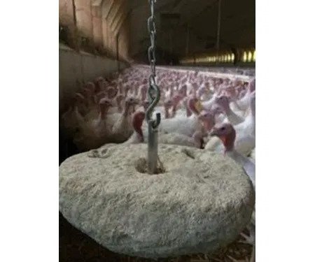 Корма для кур, птицы и индеек