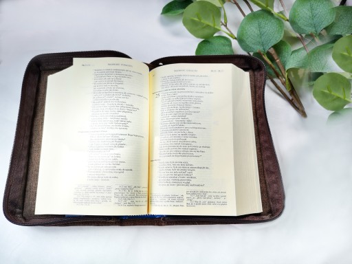 Обложка, футляр для Библии Millennium Bible, Pallottinum 22x16