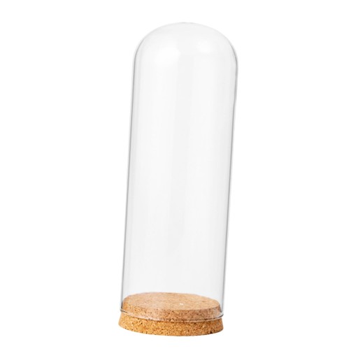 Słoik Cloche z drewnianą podstawą Szklana kopuła do ekspozycji słoików Cloche o wymiarach 9 cm x 18 cm