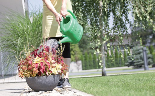 Лейка садовая SPRING 8л зеленая Prosperplast