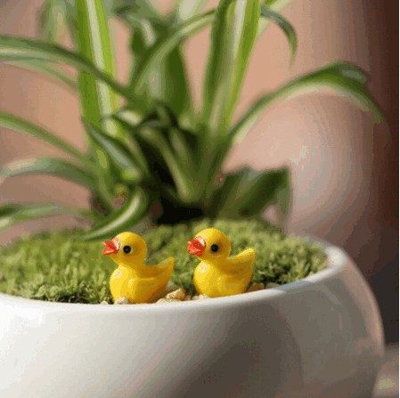 Little DUCKS - булавки для пробковых досок