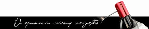 Podajnik napędowy drutu 4 rolki 4R / 24V