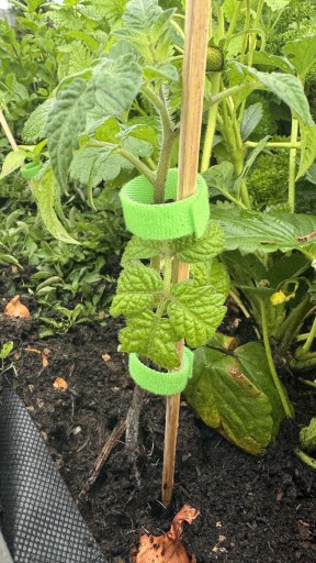 Taśma opaska rzep rzepowa organizer kabli 20mm 1m