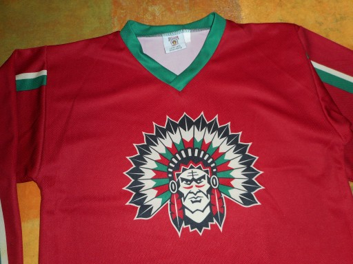 ХОККЕЙНАЯ ФУТБОЛКА FROLUNDA INDIANS 140 МЕГА УНИКАЛЬНАЯ НОРВЕГИЯ ИДЕАЛЬНАЯ, КАК НОВАЯ