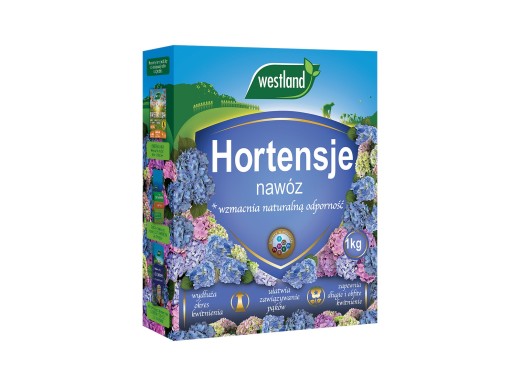 NAWÓZ DO HORTENSJI rododendronów wrzosów OBFITE KWITNIENIE 1KG WESTLAND