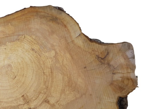 Доска для сервировки Apple Slice 62x51см