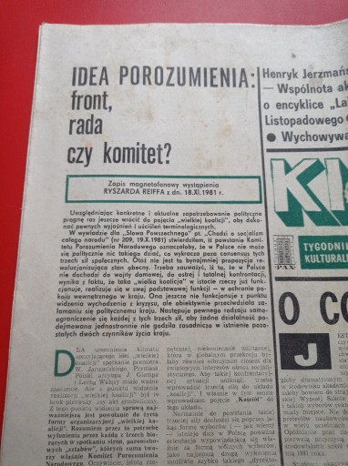 Направленный еженедельник № 49/1981; 6 декабря 1981 г.