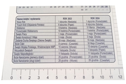 Календарь Biuwar Planner 2024/2025 с сеткой, большой настольный блокнот А2 с полоской