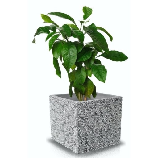 Серая бетонная крышка для цветочного горшка Etno Cube