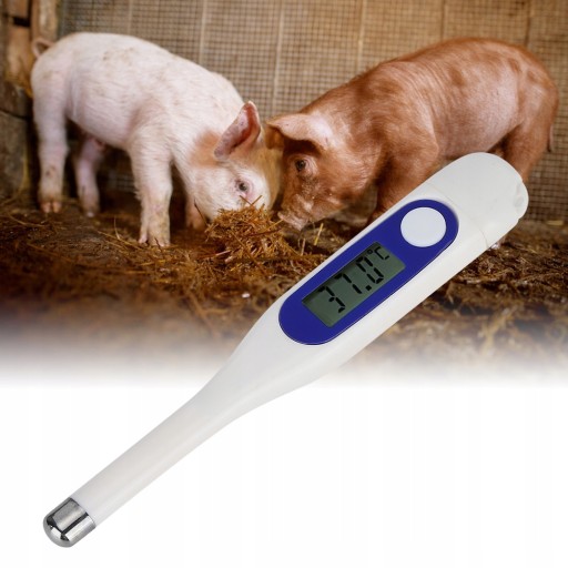Weterynaryjny termometr elektroniczny LCD cyfrowy