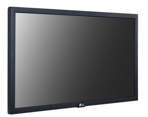 Монитор 22 дюйма 22SM3G 250кд/м2 16/7