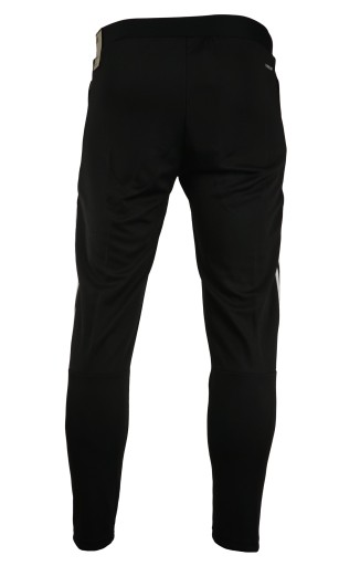 Мужские спортивные штаны adidas TIRO 21 Training Pant Slim GH7306