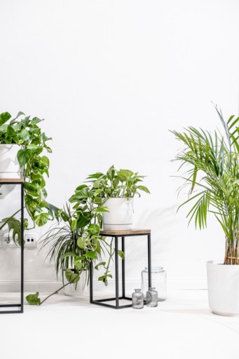 STOJĄCY METALOWY KWIETNIK LOFT STOJAK NA KWIATY -CZARNY DĄB CRAFT