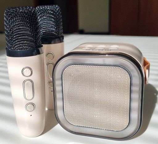 Bluetooth ДИНАМИК, 2 микрофона, ПОЛЬСКИЙ Караоке для детей