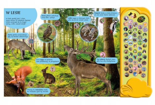 Звуковая книга «50 звуков Животные вокруг нас»
