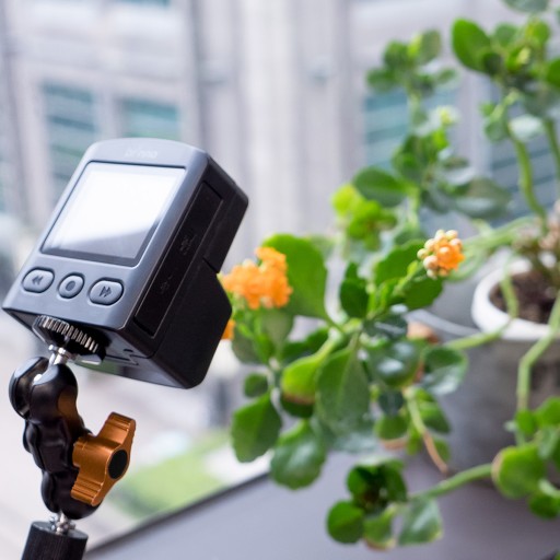 Набор фотокамер Brinno Creative BAC2000 BARD FullHD HDR