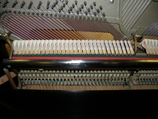 == Nordiska Piano, чёрный с RENNER