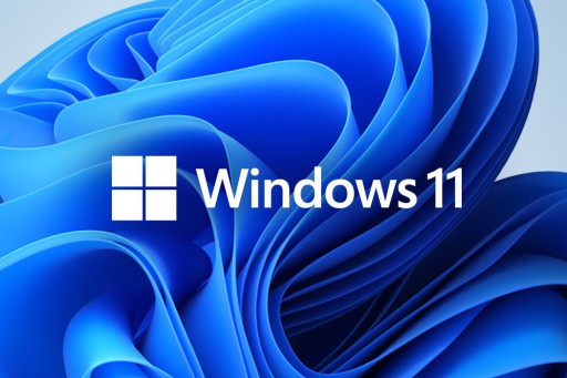 Домашняя приставка MICROSOFT Windows 11