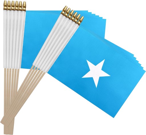 100SZT DREWNIANY KIJ SOMALIA FLAGA SOMALIJSKA MAŁA MINI FLAGA RĘCZNA
