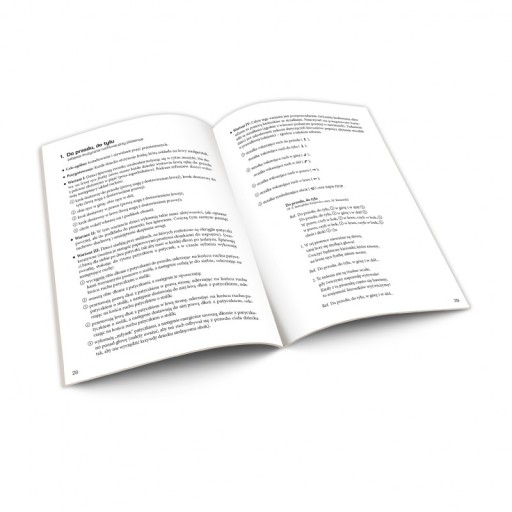 RUCH PLUS MUZYKA RÓWNA SIĘ MATEMATYKA. ZABAWY MUZYCZNO-RUCHOWE PORADNIK +CD