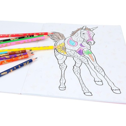 Раскраска МИСС МЕЛОДИ HORSES Цвет и дизайн