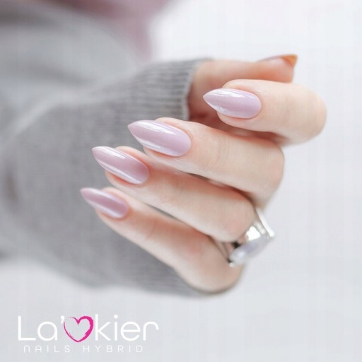 Набор гелевых кистей-трафаретов Lakier French Rose 50г