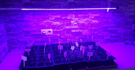 GROW LED лампа для выращивания растений 22Вт 120LED IP65 PL