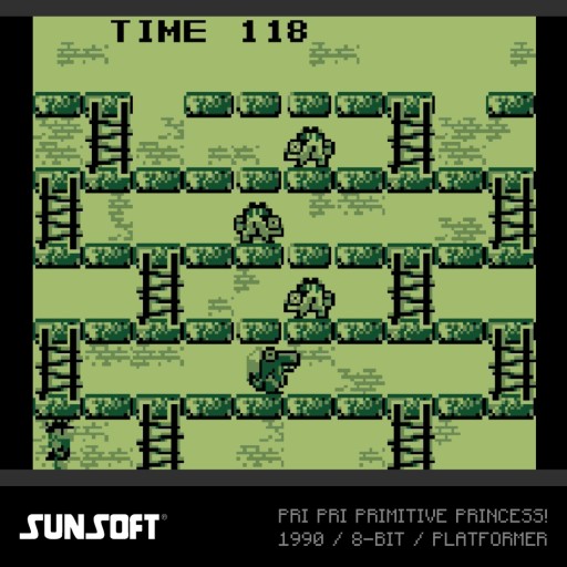 EVERCADE #38 — игровой набор Sunsoft 2