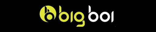 BIGBOI WASHR PRO 2 В 1 НАСТЕННОЕ КРЕПЛЕНИЕ ФИКСИРОВАННАЯ ВЕШАЛКА НАСТЕННЫЙ КРОНШТЕЙН ДЛЯ СТИРАЛЬНОЙ МАШИНЫ