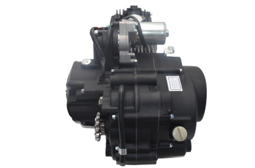 ДВИГАТЕЛЬ 1+1 ATV QUAD 125 PHYTON TAO MOTOR LONCIN