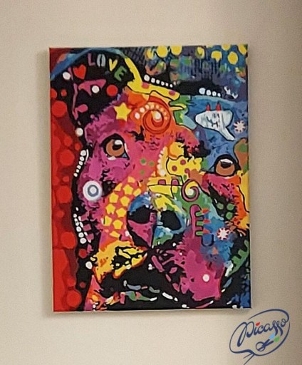 КАРТИНА РАСКРАСКА ПО ЦИФРАМ - IPICASSO-PL ПОДАРОК