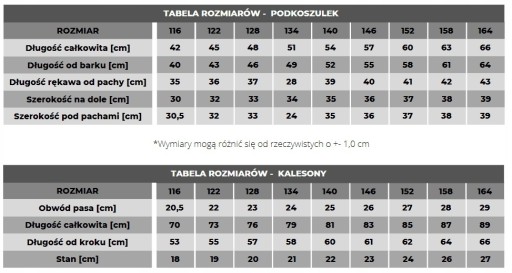 BIELIZNA TERMOAKTYWNA TERMICZNA DZIECIĘCA OCIEPLANA KOMPLET 164 DAWI