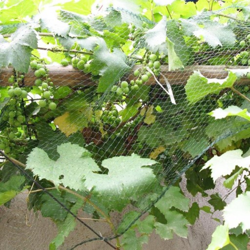 ЗАЩИТНАЯ САДОВАЯ СЕТКА ДЛЯ ПТИЦ, КУРИЦ, ПТИЦ, 2Х5м