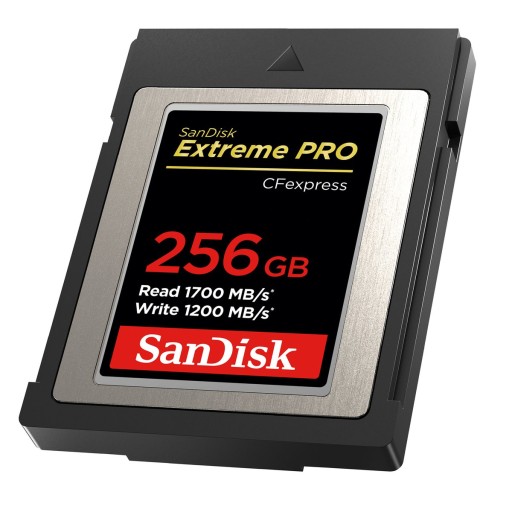 Карта SanDisk Extreme Pro 256 ГБ CF Express