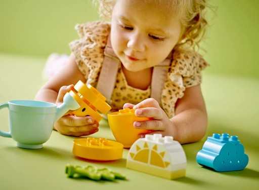 LEGO DUPLO 10981 ВЫРАЩИВАНИЕ МОРКОВИ